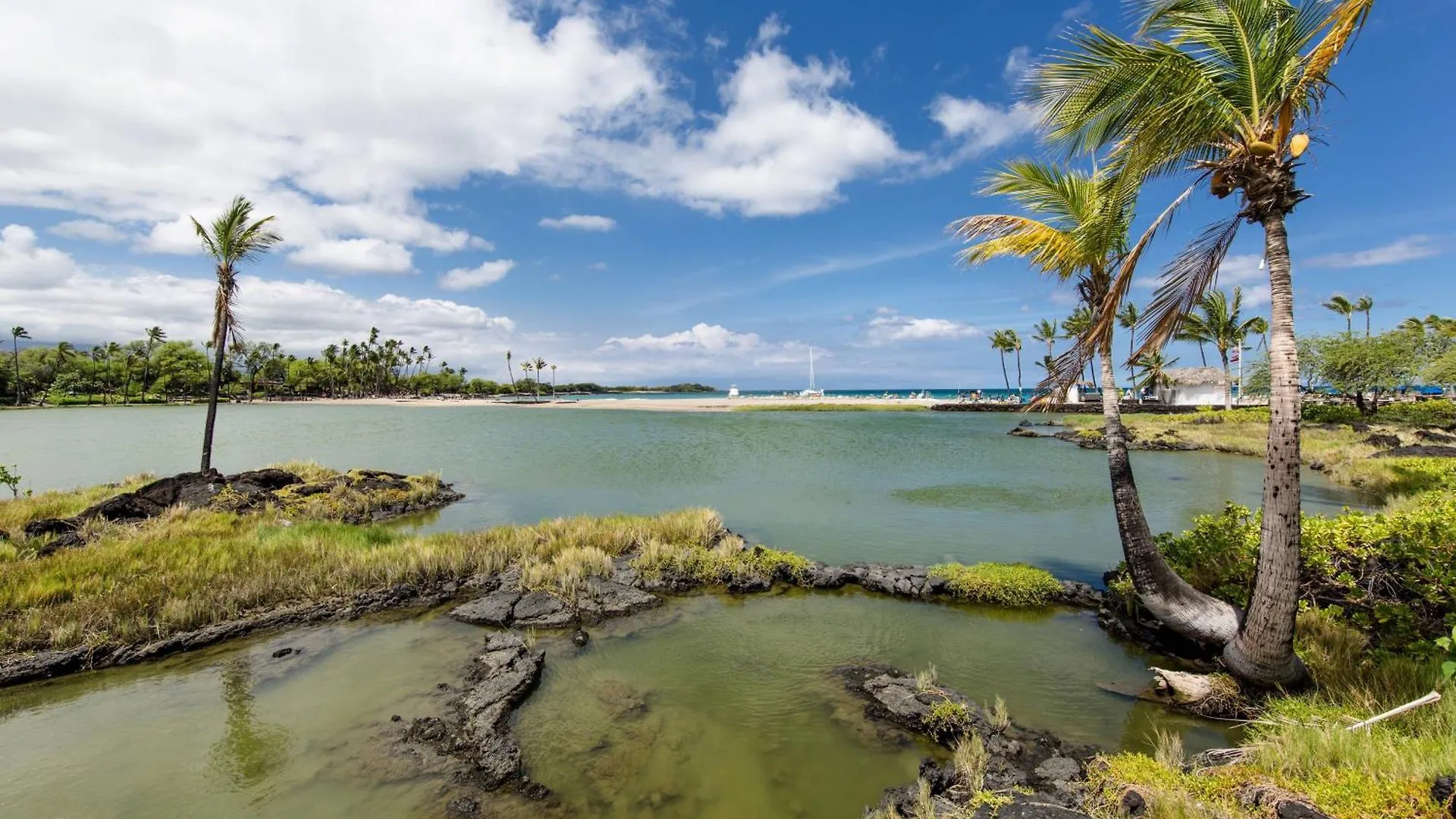 ***  Marriott'S Waikoloa Ocean Club Hotel United States