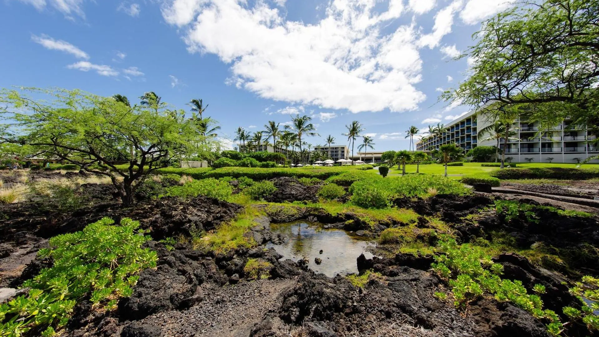 Marriott'S Waikoloa Ocean Club Hotel 3*,